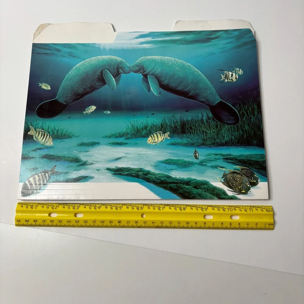 VTG 2005 Y2K Wyland Manatee File Folders Set of 3 Ocean‎ Art Retro Office School